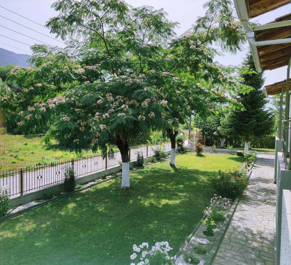 Zisis Garden Studios Ioannina Buitenkant foto
