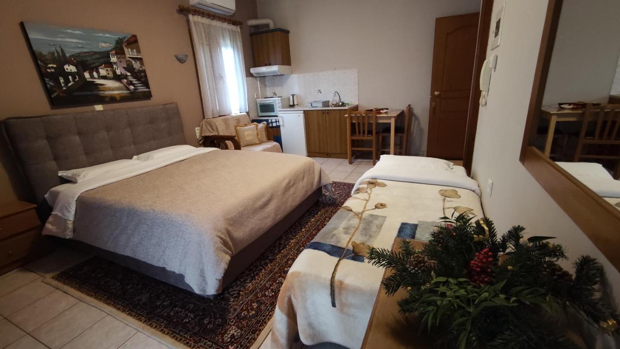 Zisis Garden Studios Ioannina Buitenkant foto