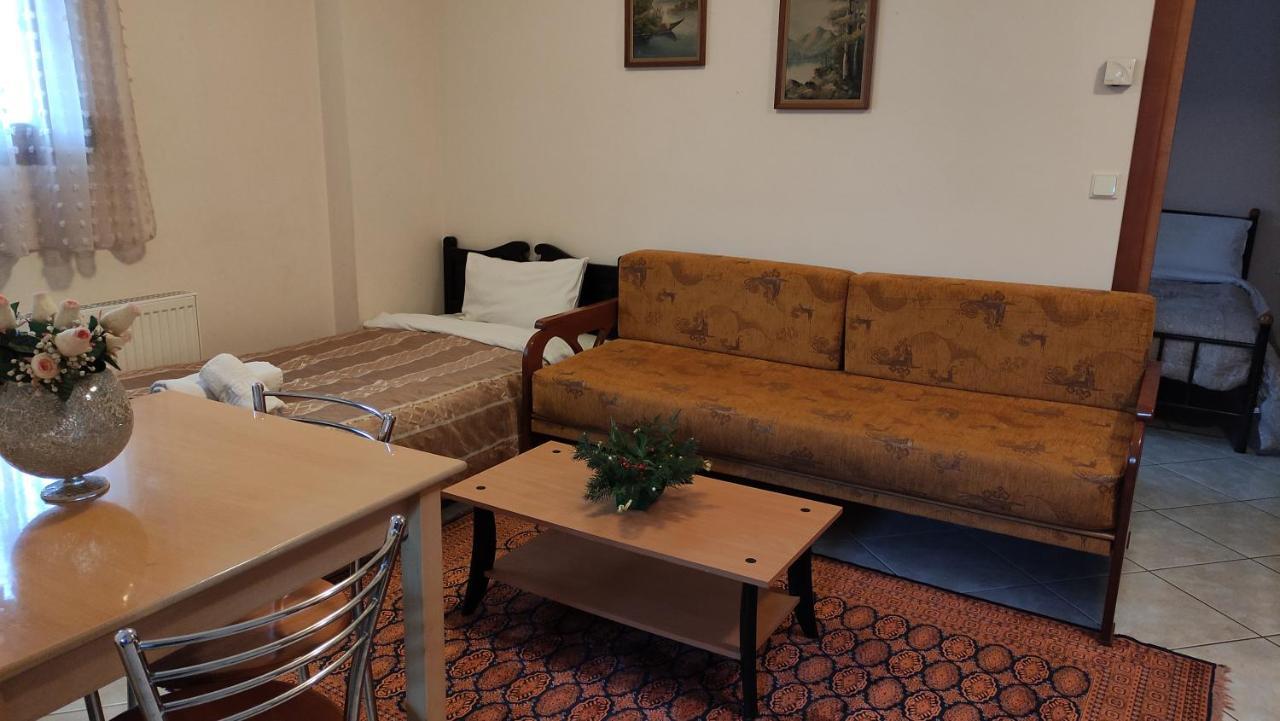 Zisis Garden Studios Ioannina Buitenkant foto