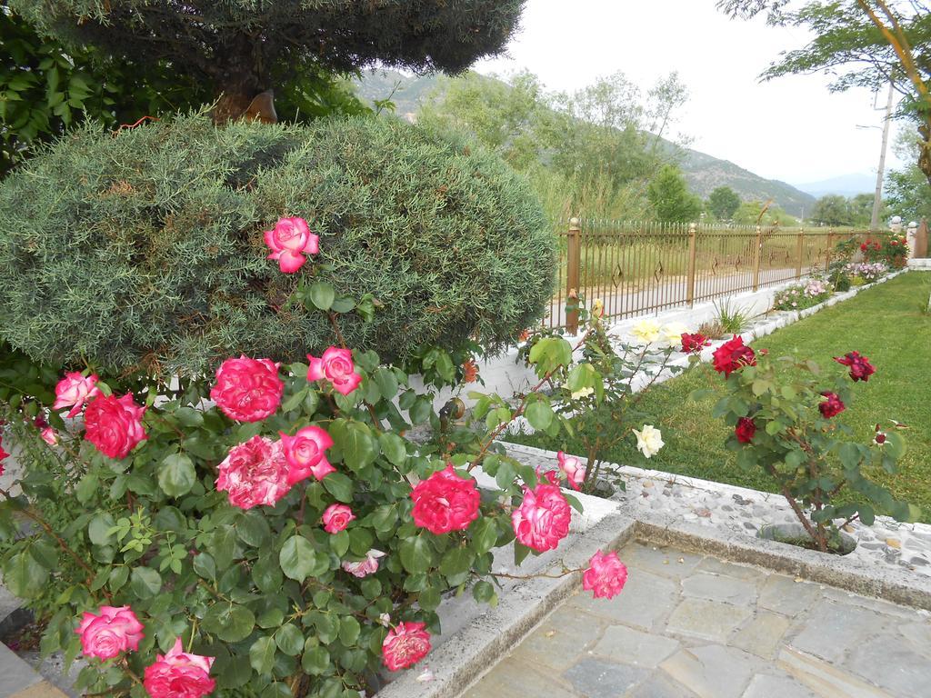 Zisis Garden Studios Ioannina Buitenkant foto