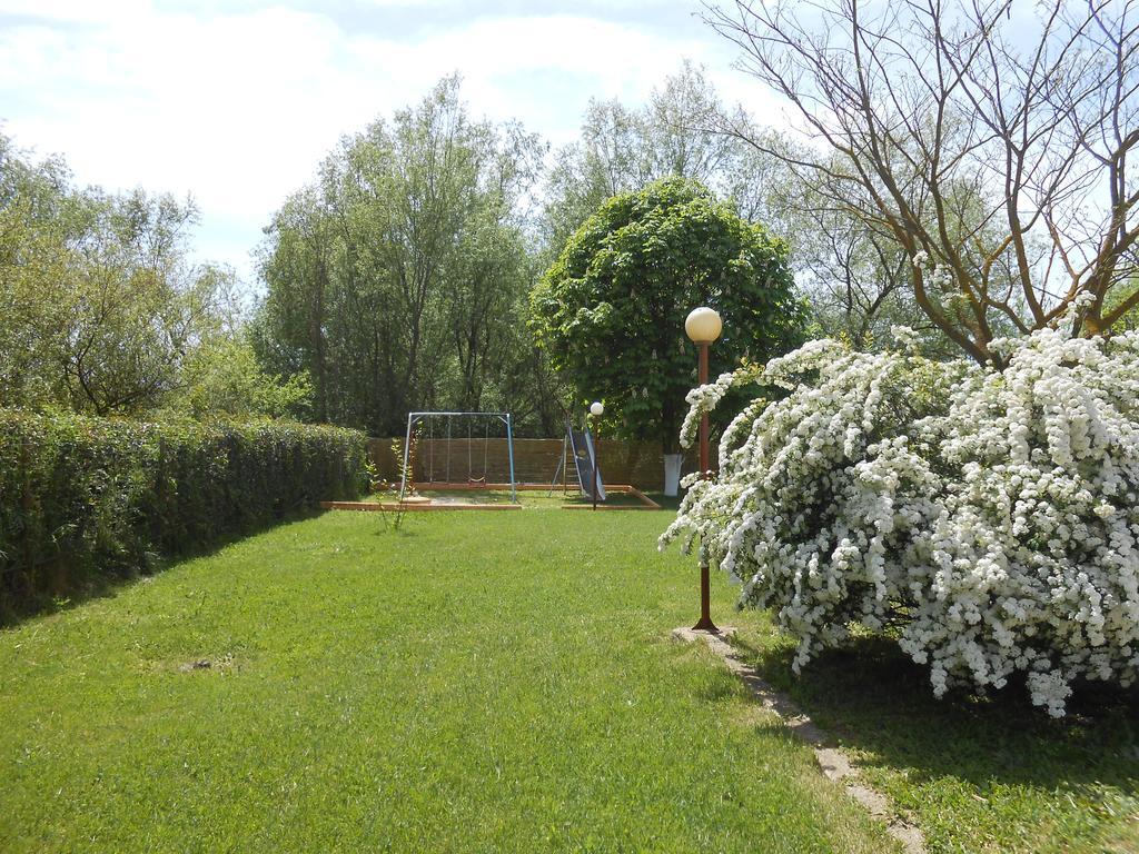 Zisis Garden Studios Ioannina Buitenkant foto