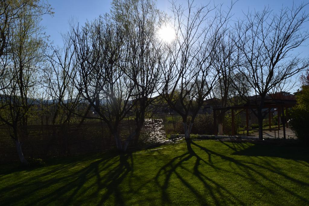 Zisis Garden Studios Ioannina Buitenkant foto