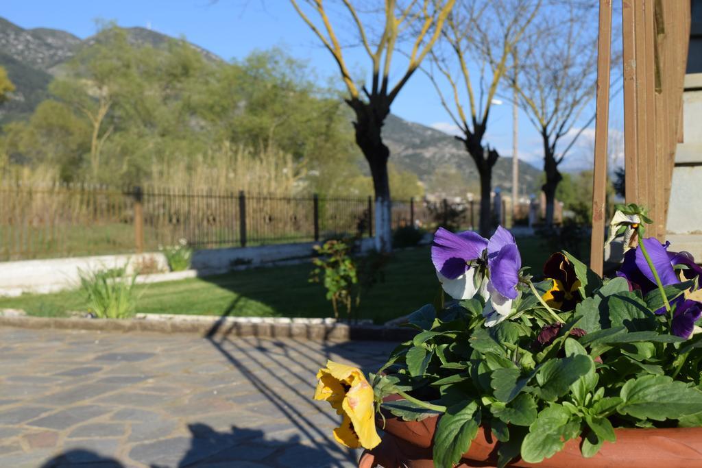 Zisis Garden Studios Ioannina Buitenkant foto