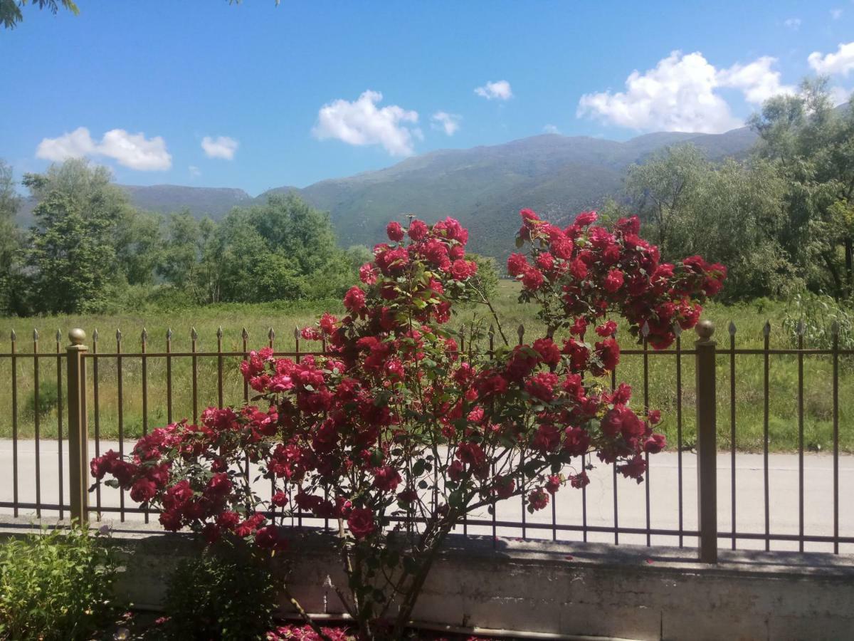 Zisis Garden Studios Ioannina Buitenkant foto
