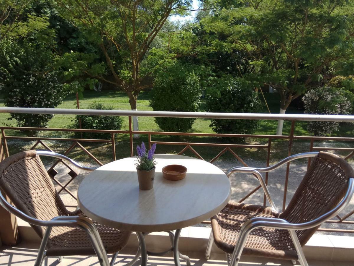 Zisis Garden Studios Ioannina Buitenkant foto